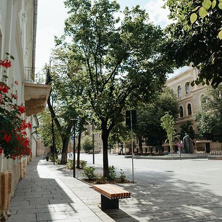 Contessa Central Studio Cluj-Napoca Eksteriør bilde