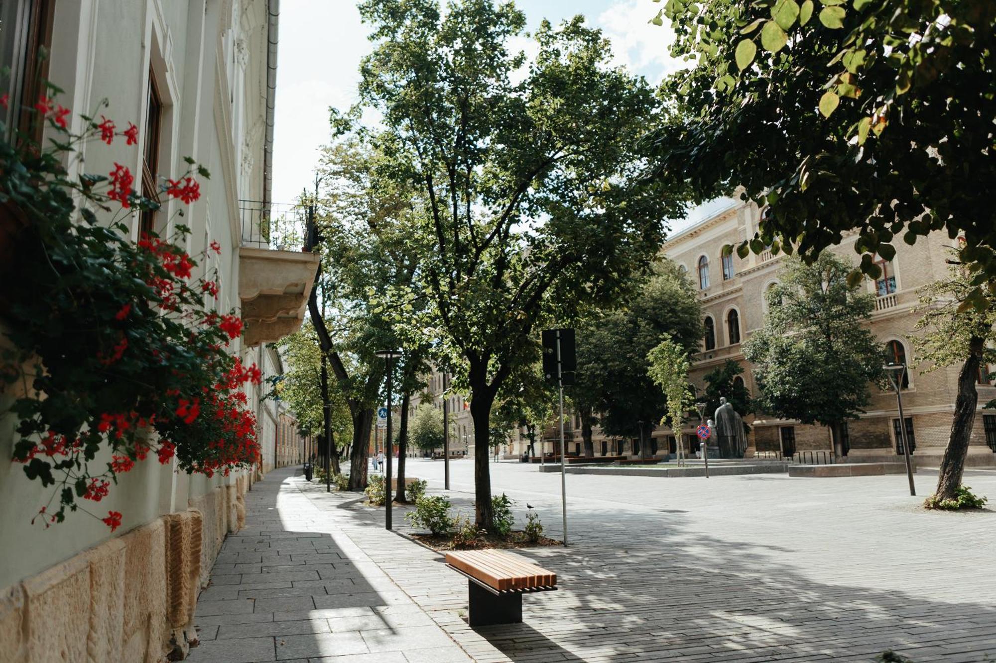 Contessa Central Studio Cluj-Napoca Eksteriør bilde