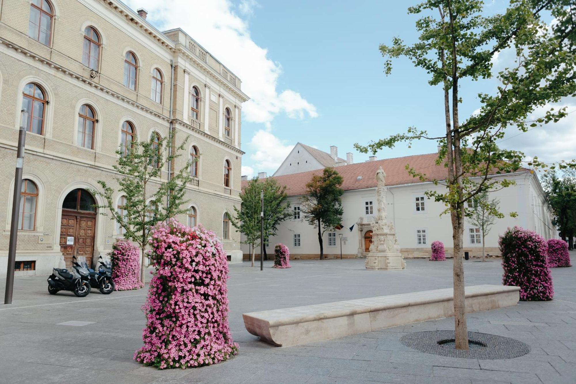 Contessa Central Studio Cluj-Napoca Eksteriør bilde